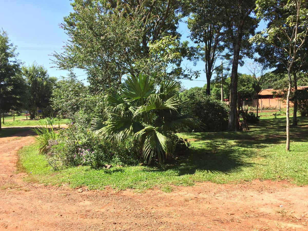 Iguazu Apart Hostel Puerto Iguazú Eksteriør bilde